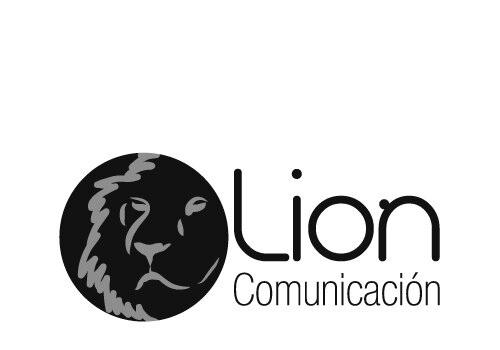 Lion Comunicación - Agencia de diseño y marketing online